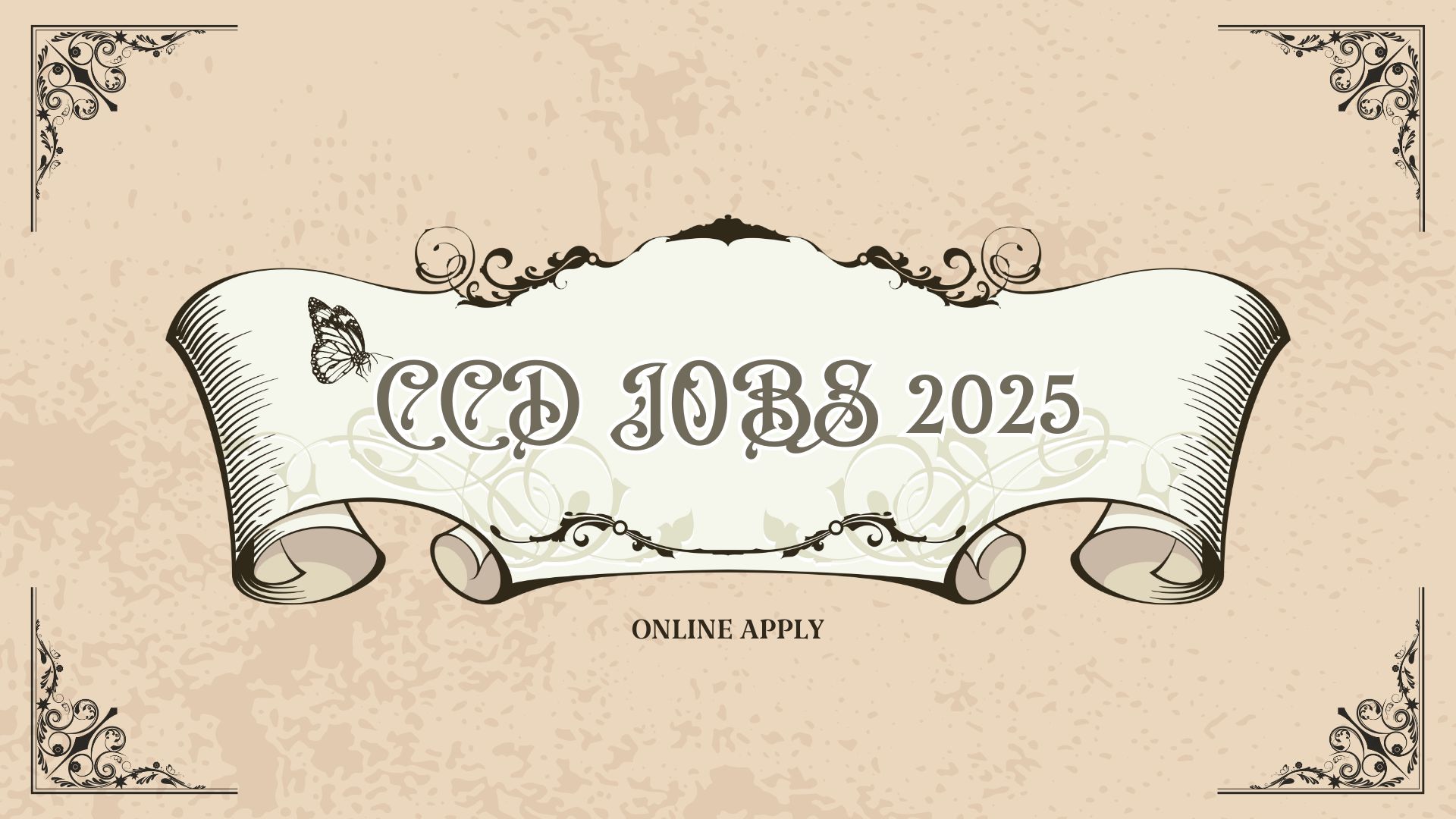 CCD Jobs 2025