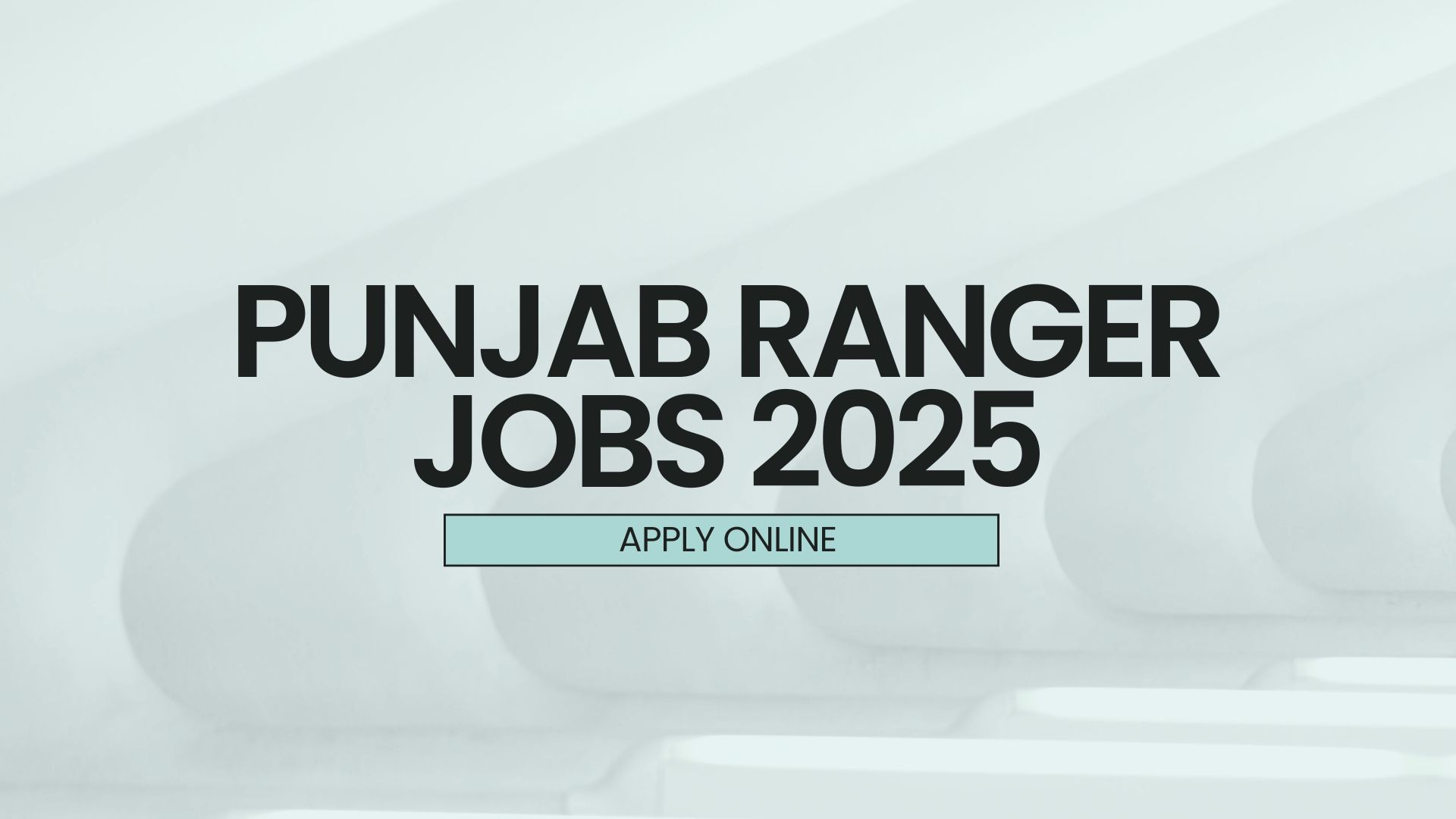 Punjab Ranger jobs